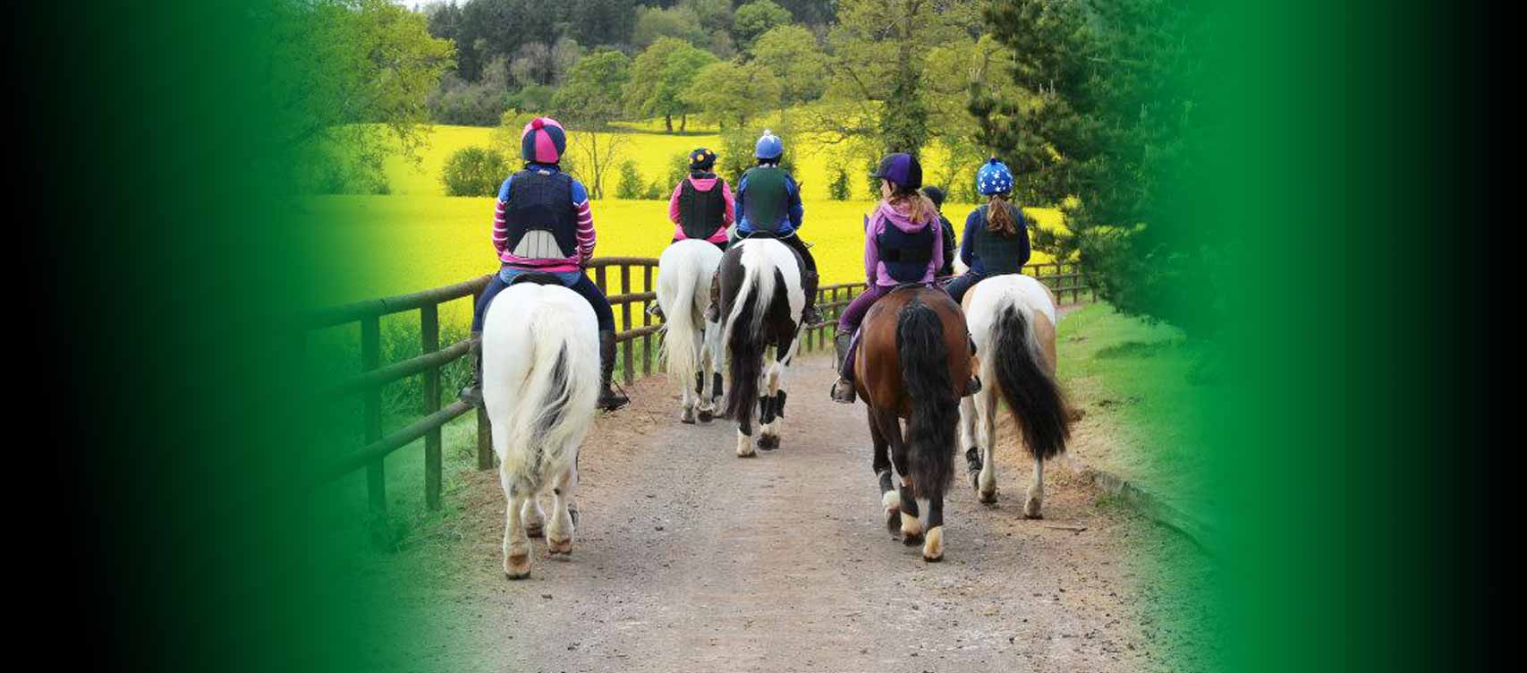 Our aim is to offer your horse the finest choice as nature intended