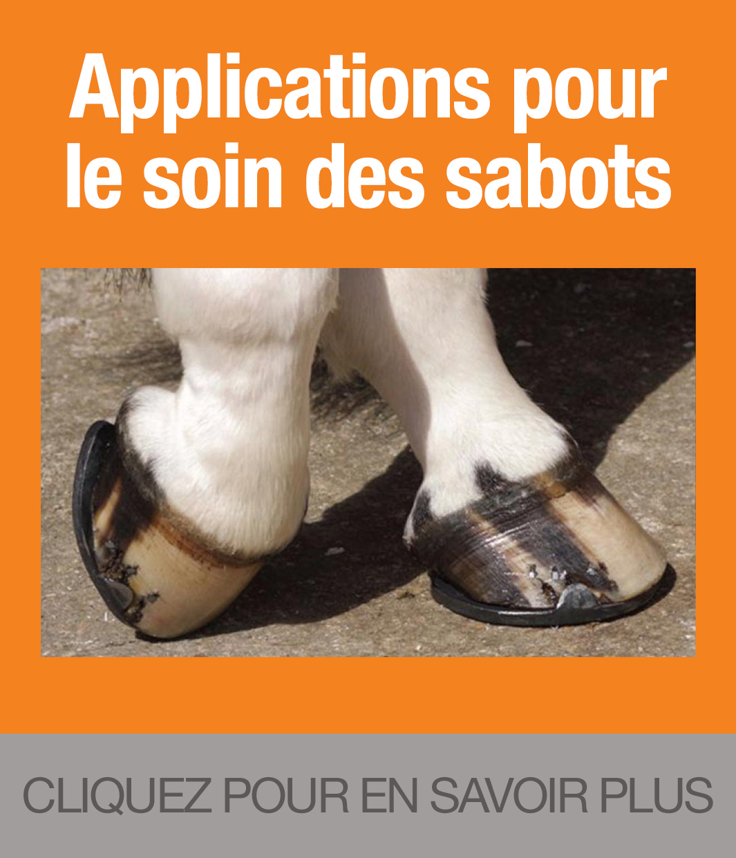 Hooves, Equine Supplements