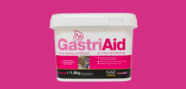 Gastriaid