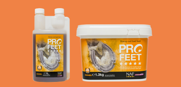 PROFEET