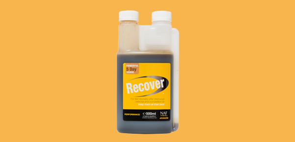 Recover
