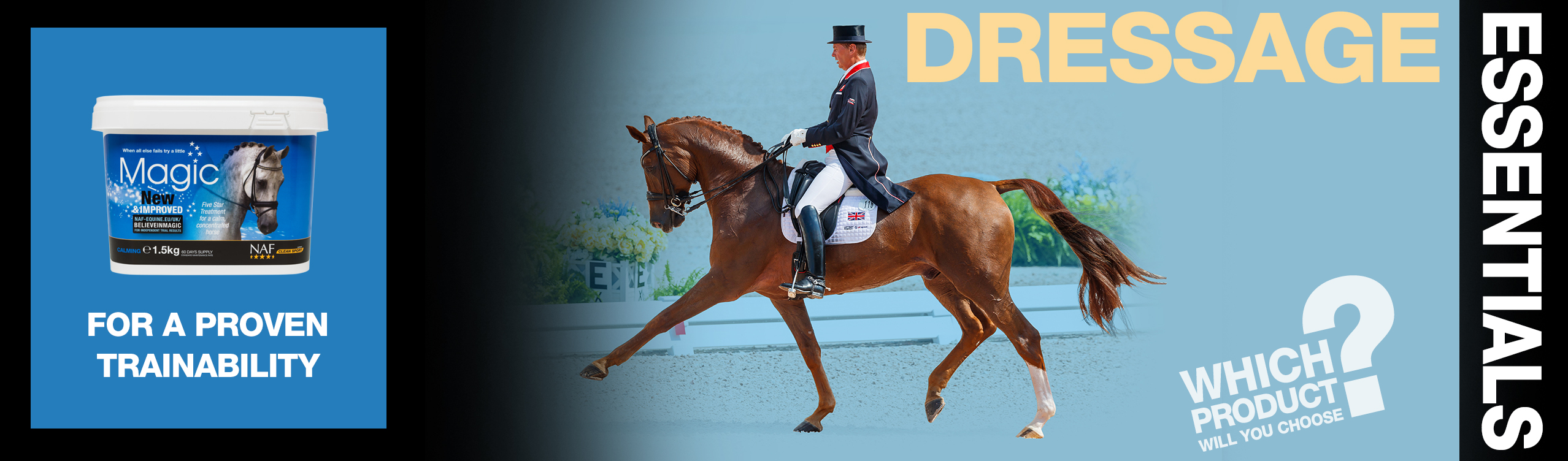 Dressage Essentials