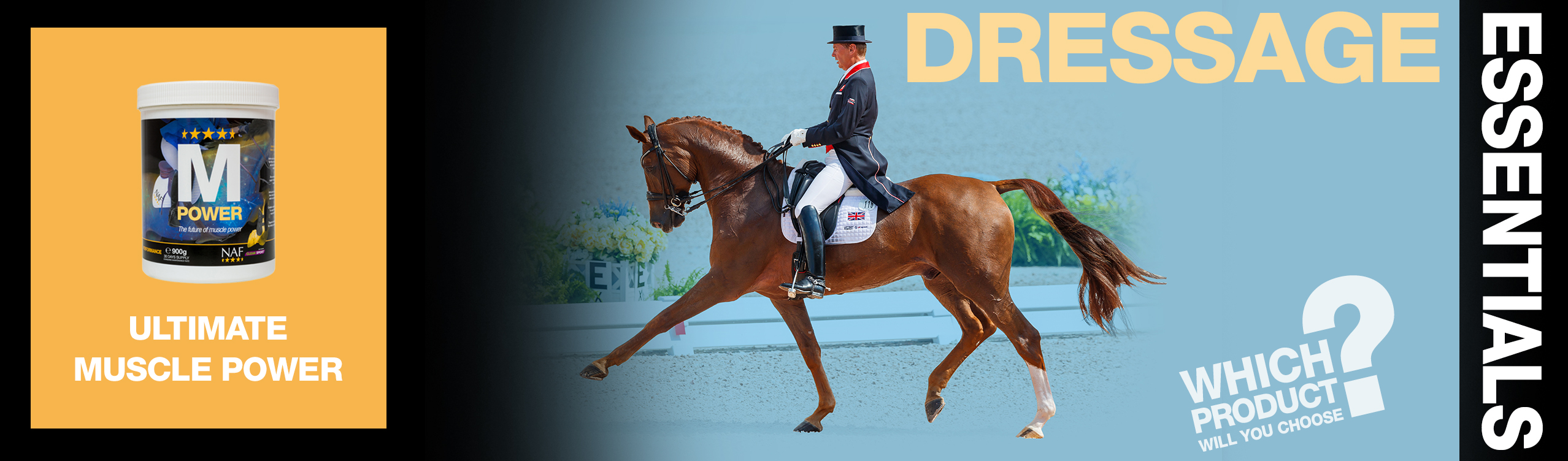Dressage Essentials