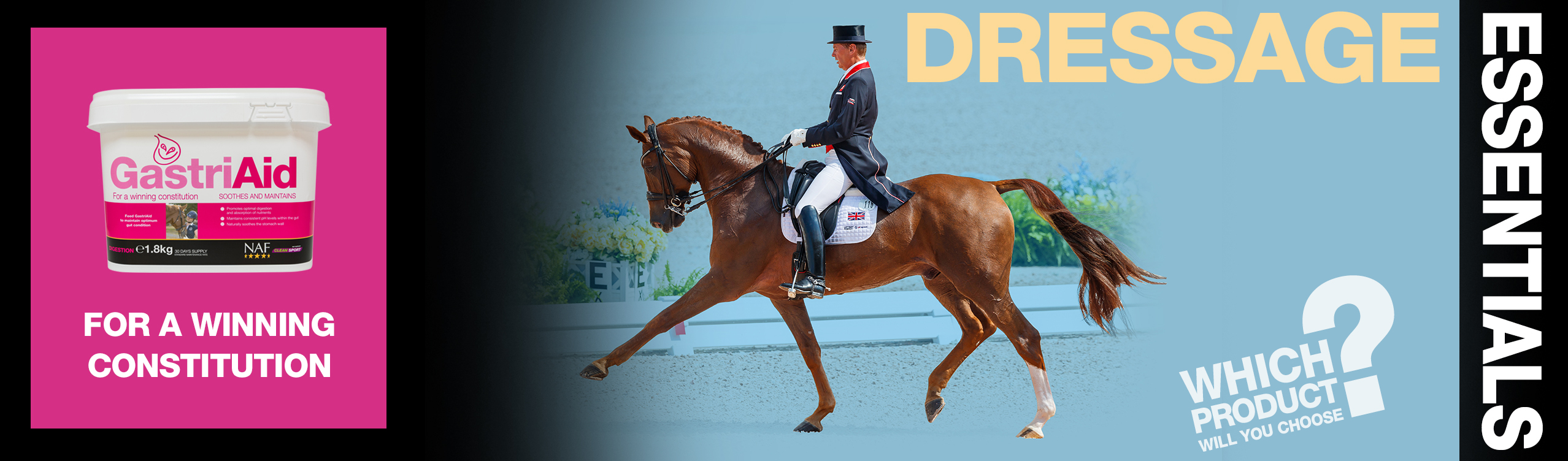 Dressage Essentials