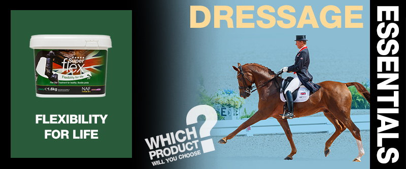 Dressage Essentials