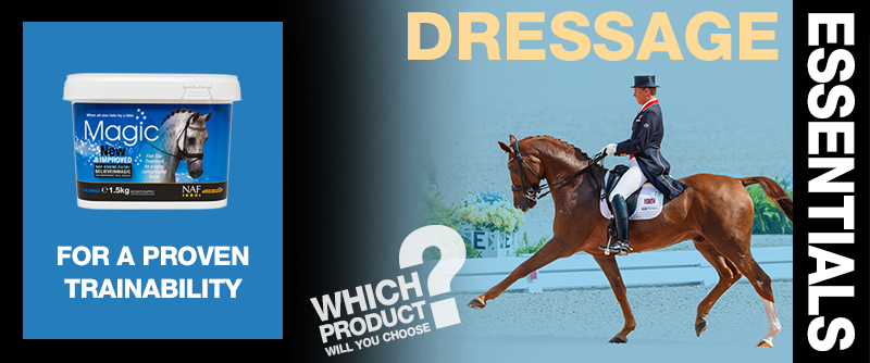 Dressage Essentials