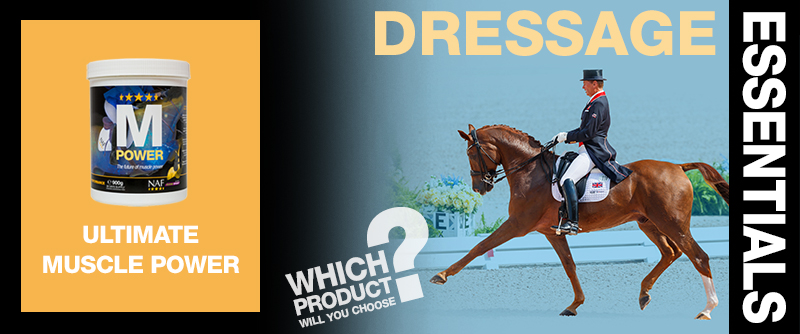 Dressage Essentials