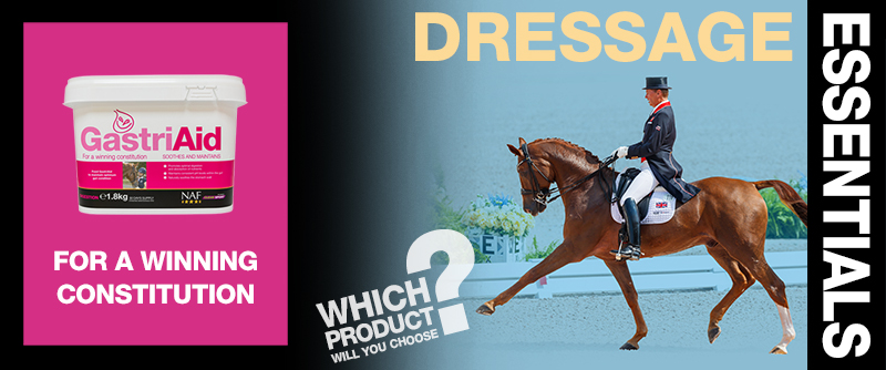Dressage Essentials