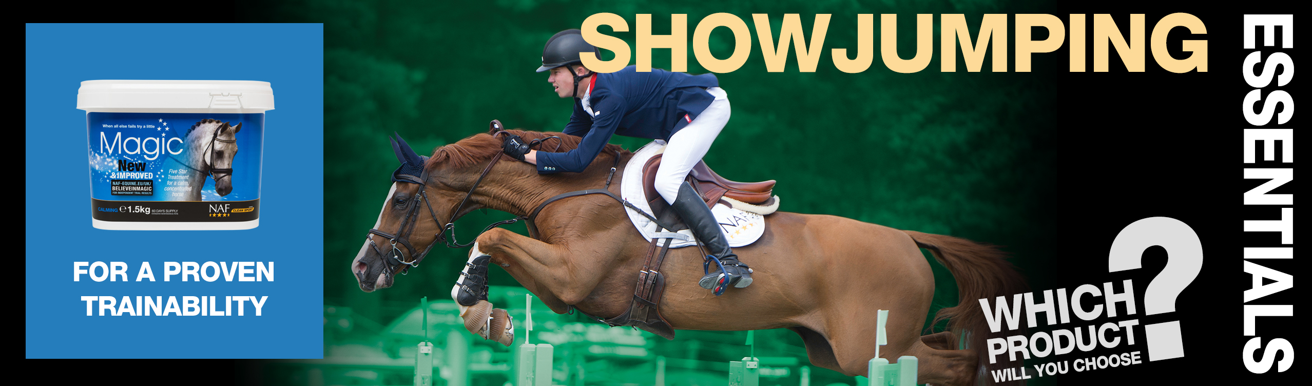 Dressage Essentials