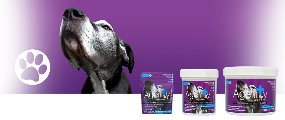 Veterinary strength nutritional support for older stiff doggys. Veterinary strength nutritional support for older stiff doggys.