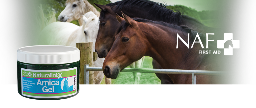 A smooth, cooling gel to soothe minor strains