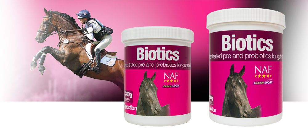 Blend of pre and probiotics for gut health and stability