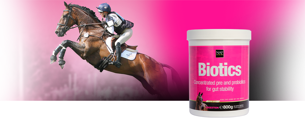 Blend of pre and probiotics for gut health and stability Blend of pre and probiotics for gut health and stability