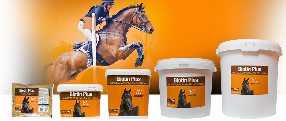 Ideal for everyday maintenance of healthy hooves