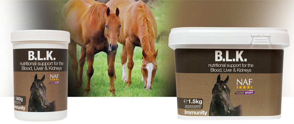 Supplement to support the blood, liver and kidneys