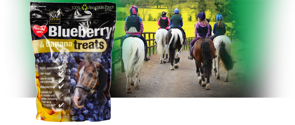 Delicious blueberry and banana flavour treats