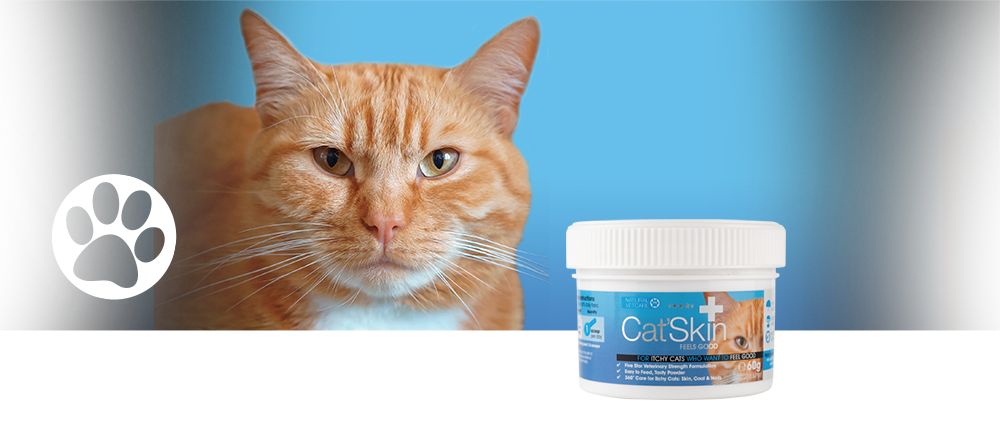 Veterinary strength nutritional support for itchy sensitive skin.