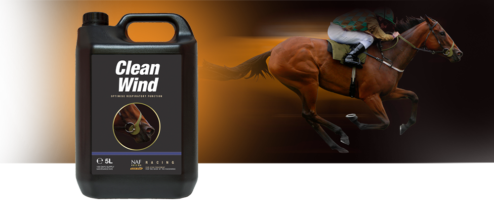 Supports aerobic capacity, respiratory health and immunity Supports aerobic capacity, respiratory health and immunity