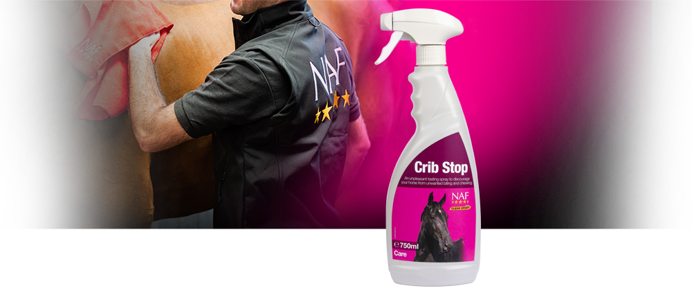 Unpleasant tasting oil based spray to discourage biting of wood and other surfaces