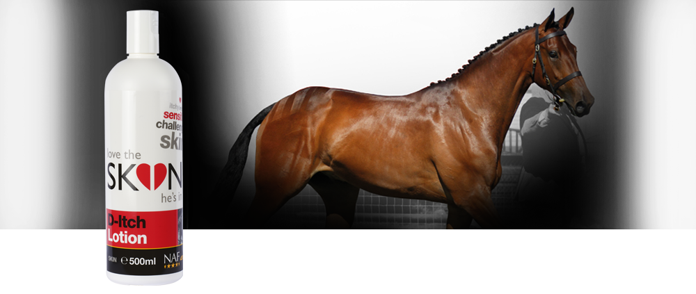 Easy to apply, absorbent lotion that is essential for any horse affected by seasonal irritations