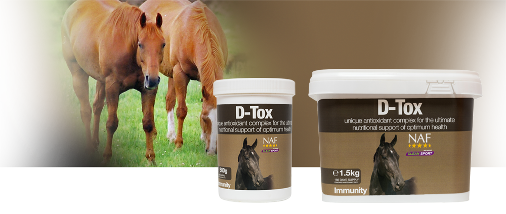 Packed full of antioxidants to flush free radicals out of the system Packed full of antioxidants to flush free radicals out of the system