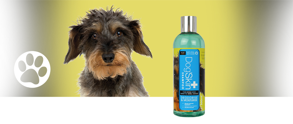 A gentle but effective deodorising shampoo for dogs prone to unpleasant odour or who roll in things they shouldn't!