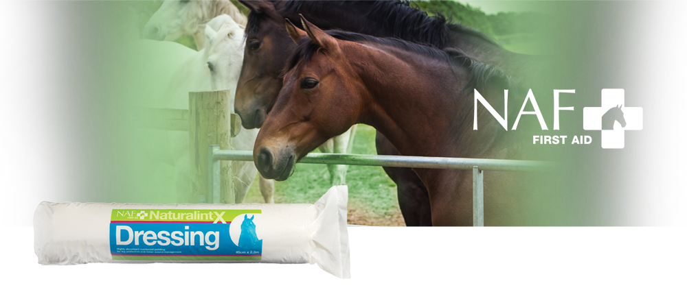 Softly cushioned dressing to protect the leg during wound management