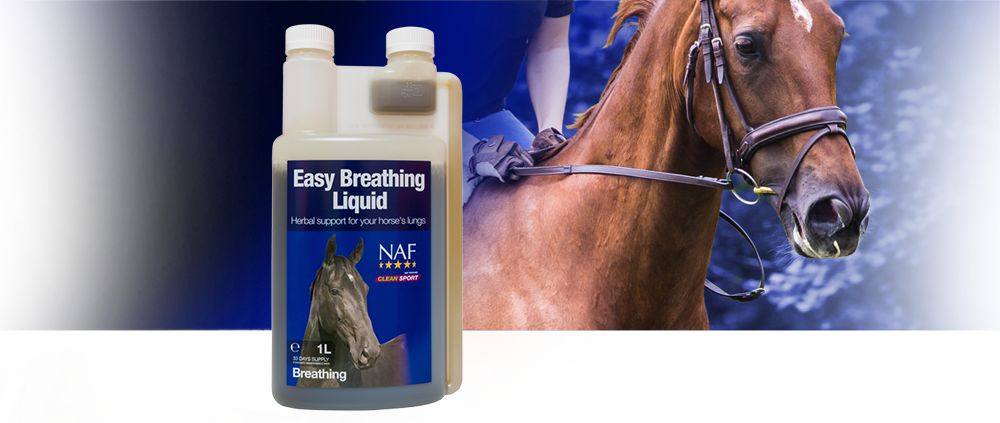 Natural herbal support for healthy lungs and respiratory system