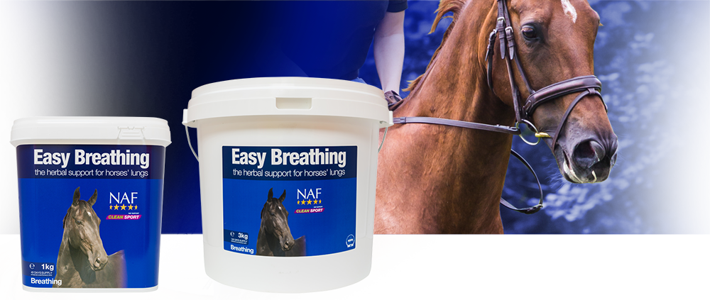 Natural herbal support for healthy lungs and respiratory system