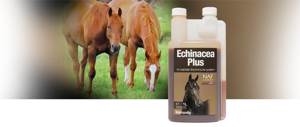 Provides daily support for the immune system
