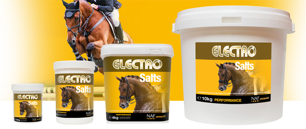 Concentrated formula to replace body salts lost during heavy work or extreme heat