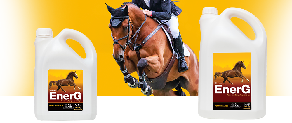 Supports the health and efficiency of red blood cells and energy metabolism