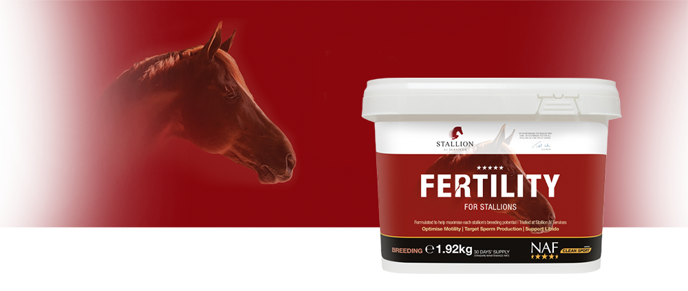 Formulated to help maximise each stallion's breeding potential Formulated to help maximise each stallion's breeding potential