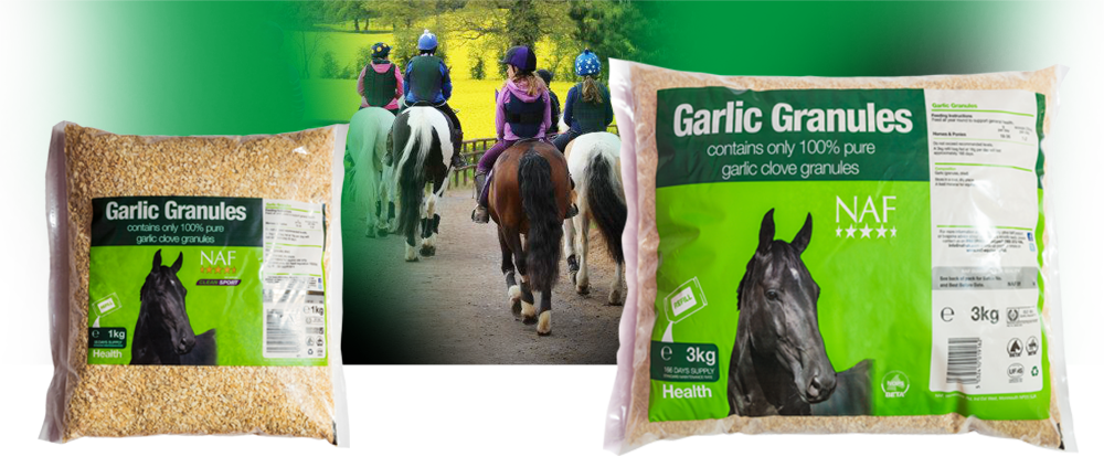 100% pure garlic to support the immune system