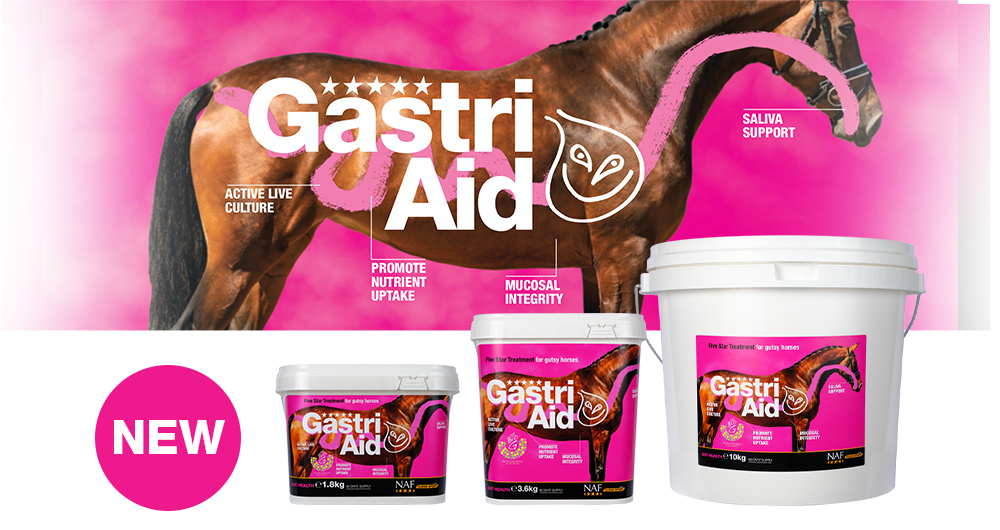 The must have daily supplement for total gut health.