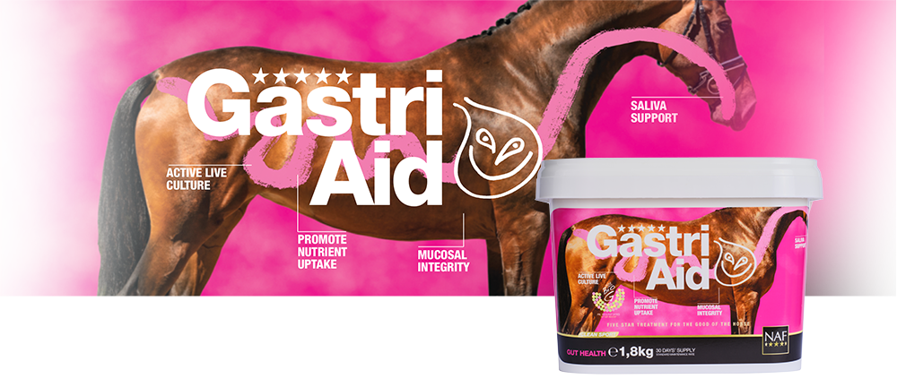 The must have daily supplement for total gut health. The must have daily supplement for total gut health.