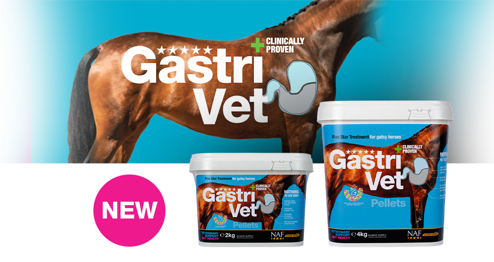 NAF Five Star GastriVet is clinically proven. Formulated to target the stomach, to soothe and preserve lining integrity. NAF Five Star GastriVet is clinically proven. Formulated to target the stomach, to soothe and preserve lining integrity.