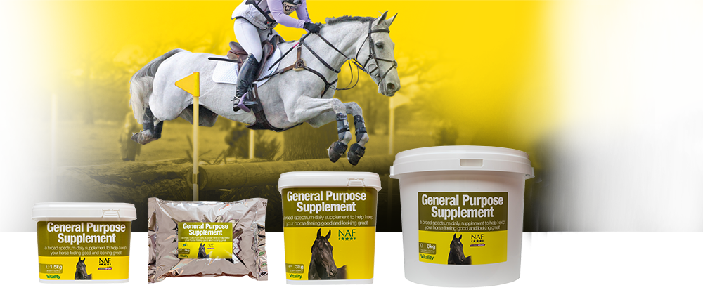 Broad spectrum vitamins and minerals to keep your horse in top condition Broad spectrum vitamins and minerals to keep your horse in top condition