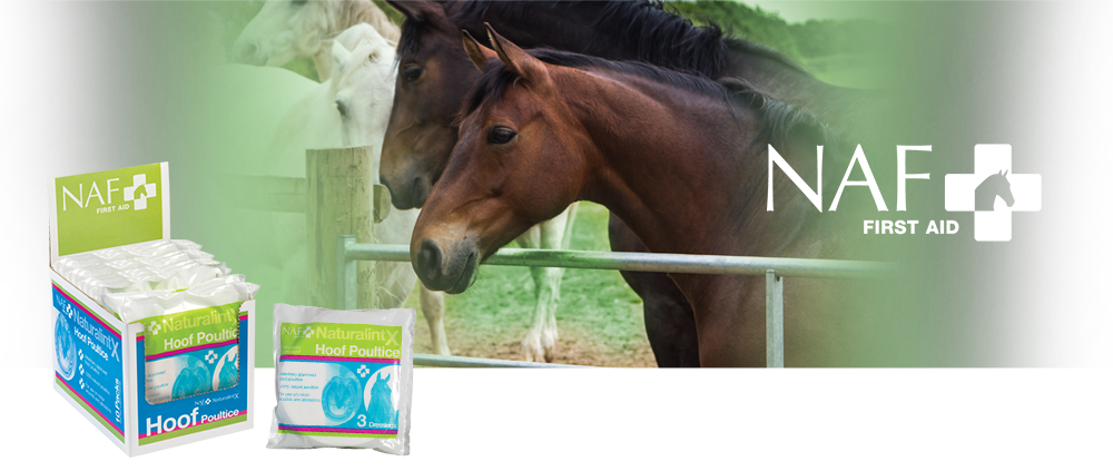 Highly absorbent multi layered dressing designed to fit comfortably in the hoof