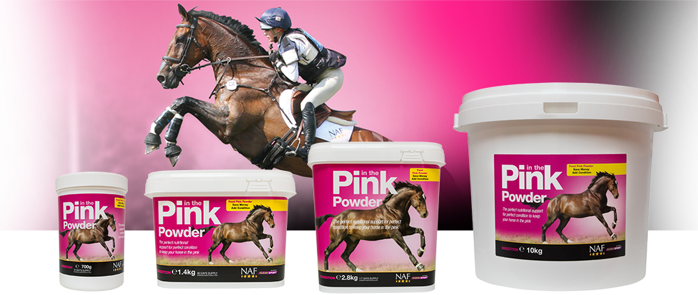 Wide range of vitamins and minerals with added probiotics for overall perfect condition