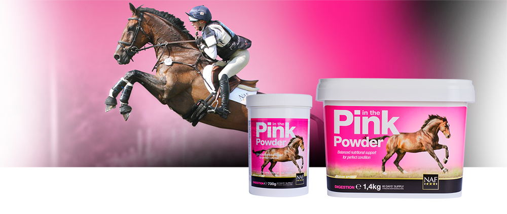 Wide range of vitamins and minerals with added probiotics for overall perfect condition Wide range of vitamins and minerals with added probiotics for overall perfect condition