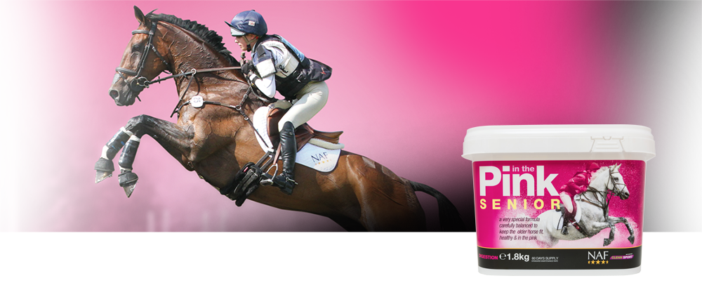 Specially formulated to meet the nutritional needs of the older horse