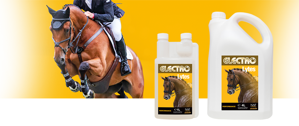 Liquid electrolytes to replace essential body salts lost through exercise or sweating