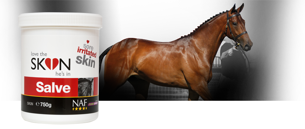 Light water based salve to soothe and comfort irritations Light water based salve to soothe and comfort irritations