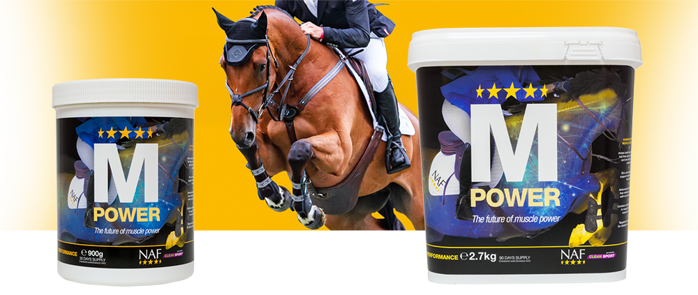 Leading edge nutritional formula to support the natural, healthy development of muscle