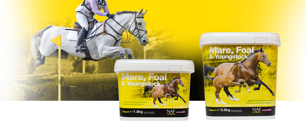 Specifically formulated to support the growing foal, young horse and broodmare