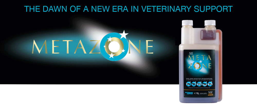 Formulated to support the anti-inflammatory process