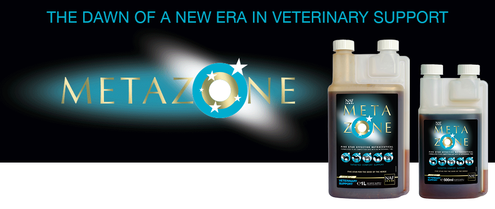 Formulated to support the anti-inflammatory process Formulated to support the anti-inflammatory process