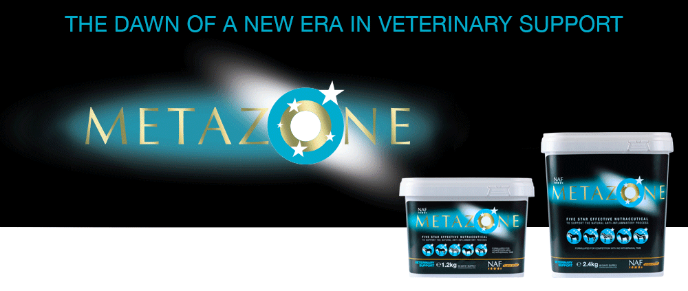 Formulated to support the anti-inflammatory process
