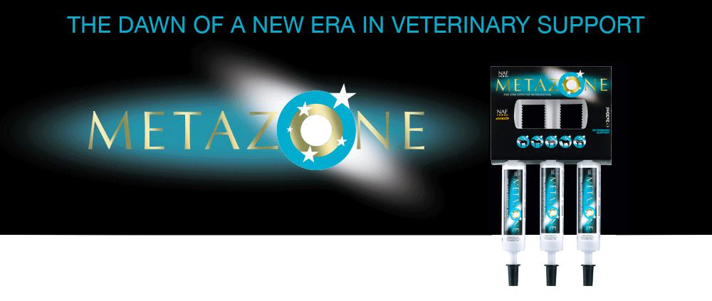 Formulated to support the anti-inflammatory process